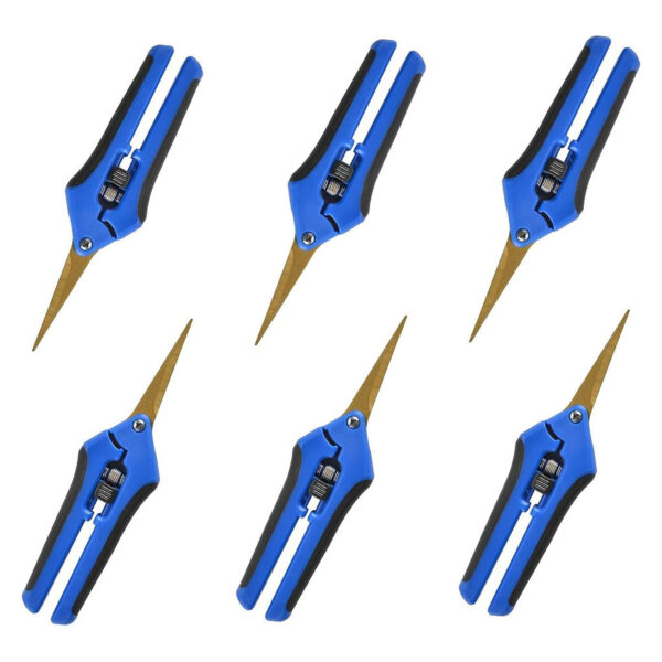 Pruning Shears