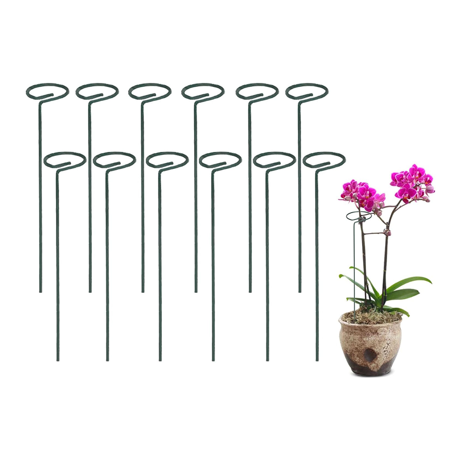 Plant Cages & Supports - Growneer