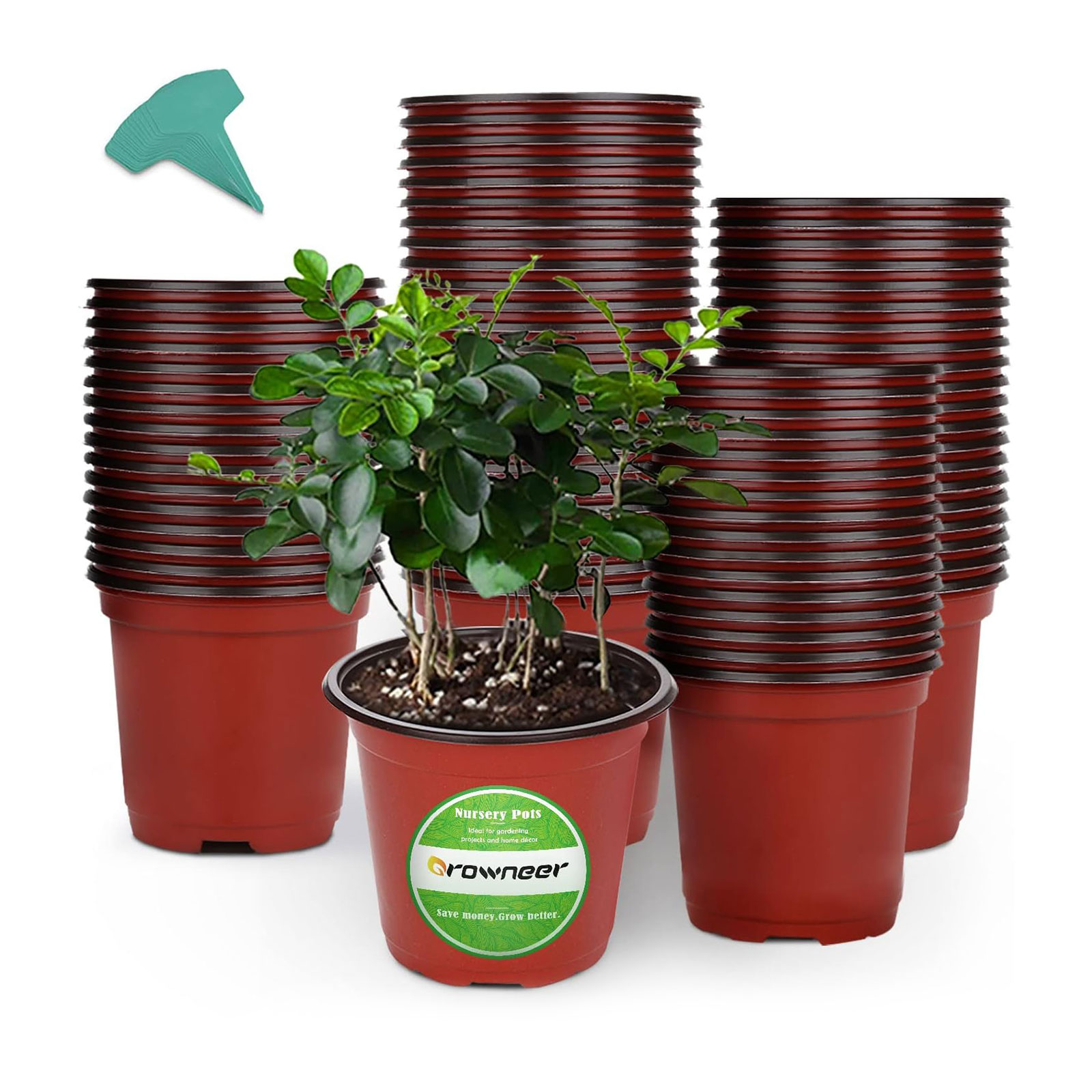 Delxo 50 Pcs 6 Inch Plants Nursery Pots Reusable Plant Seeding