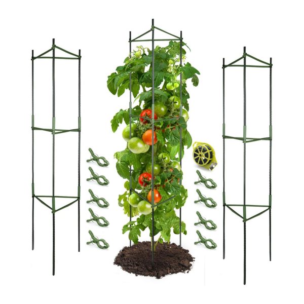 tomato Cages