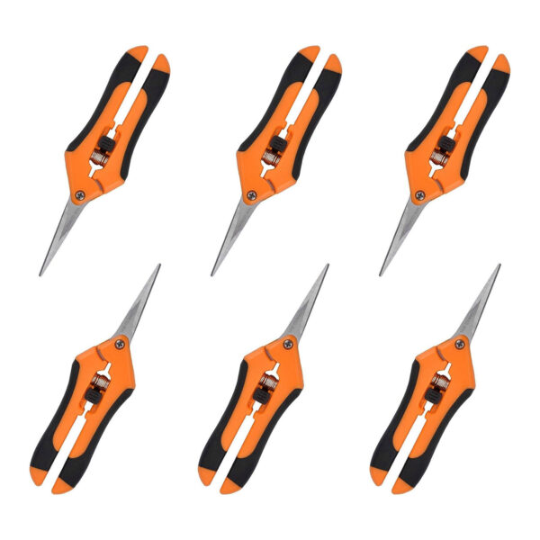 Pruning Shears