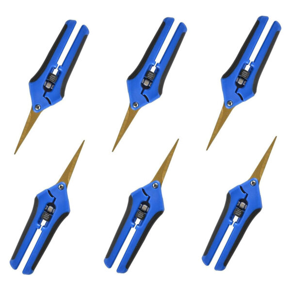 Pruning Shears