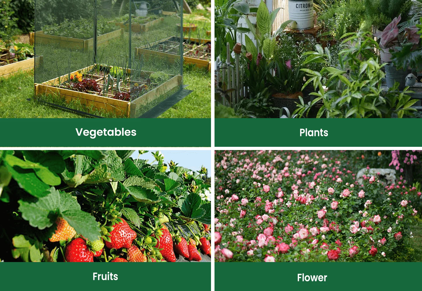 GROWNEER Crop Cage 6.5' x 10'-size