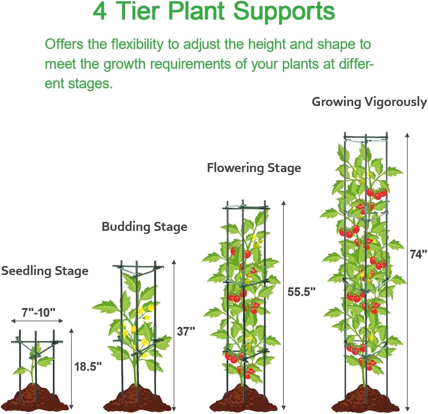 4 tier 2