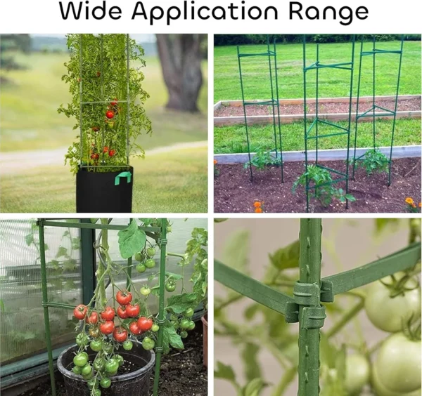 cage tomato-6 cage tomato 6