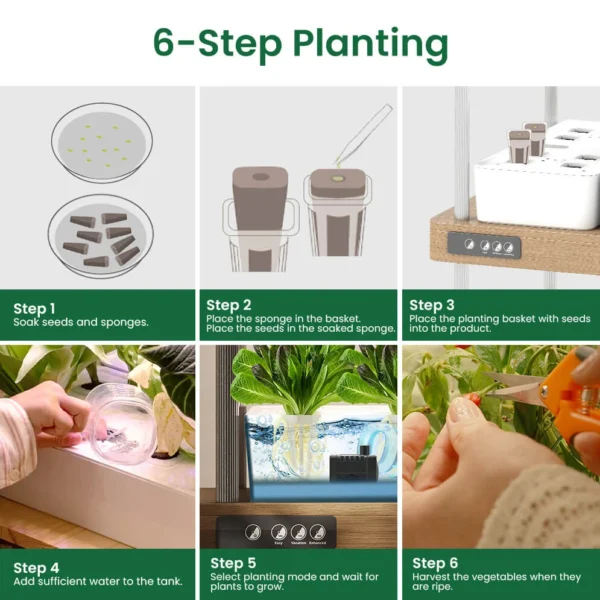 Growneer Hydroeasy planting