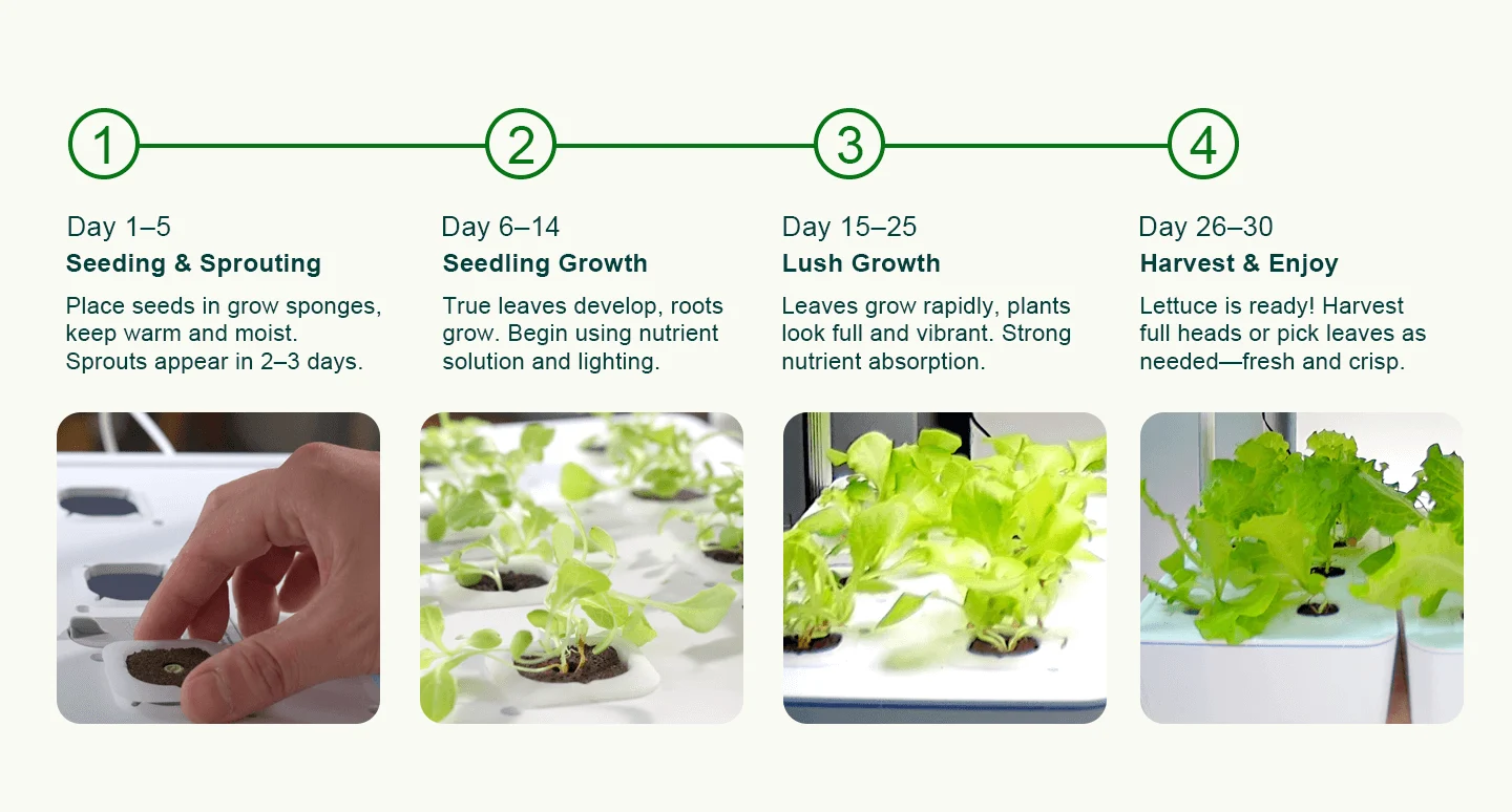 Growing Processing