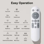 Remote control