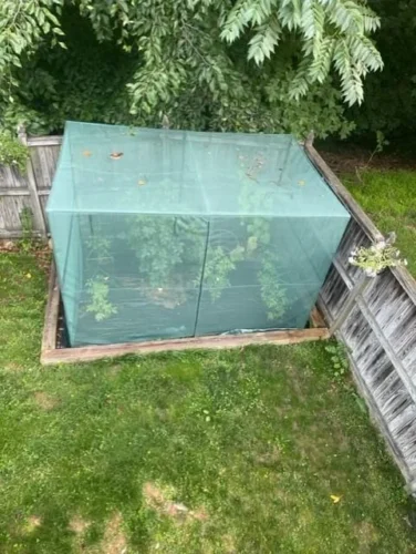 GROWNEER Crop Cage 4' x 8' with 12 Ground Staples photo review