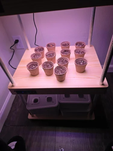 Growneer HydroEasy1.0 photo review