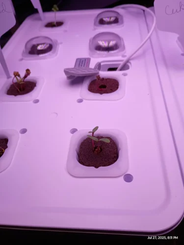 Growneer HydroEasy1.0 photo review