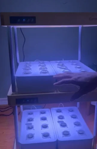 Growneer HydroEasy1.0 photo review