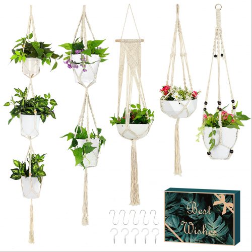 Plant Hangers