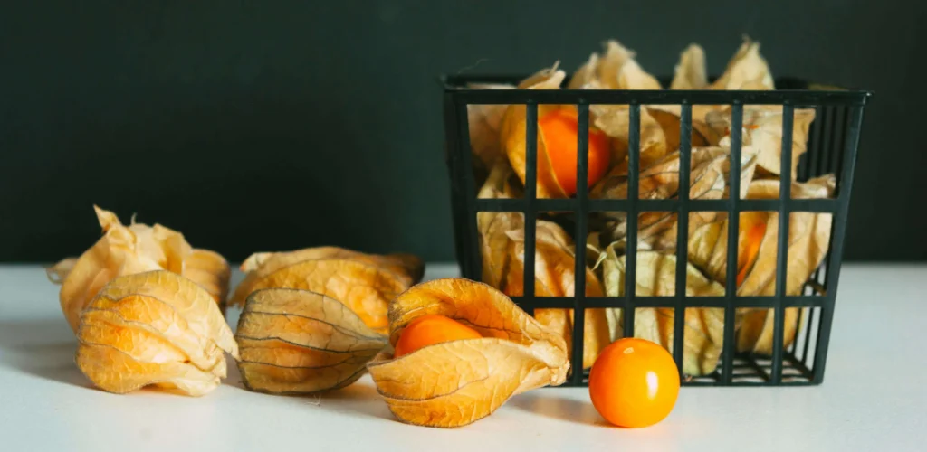 cape_gooseberry_physalis_(8)