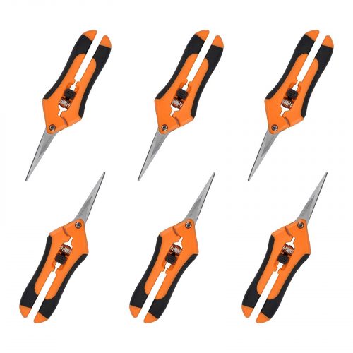 Pruning Shears